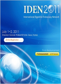 IDEN 2011